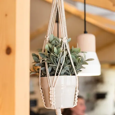 Slo Les Pentes (adults Only)